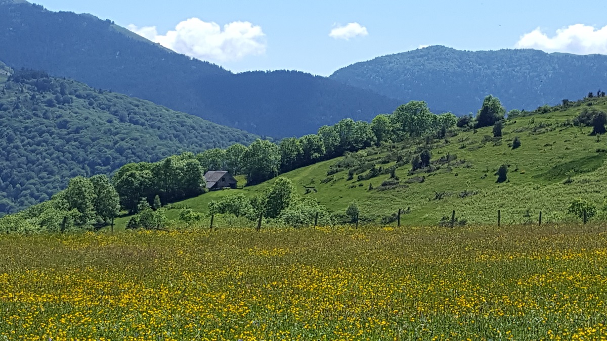 LES GRANGES DE SARRATS CAMPAN Les Pyrenées