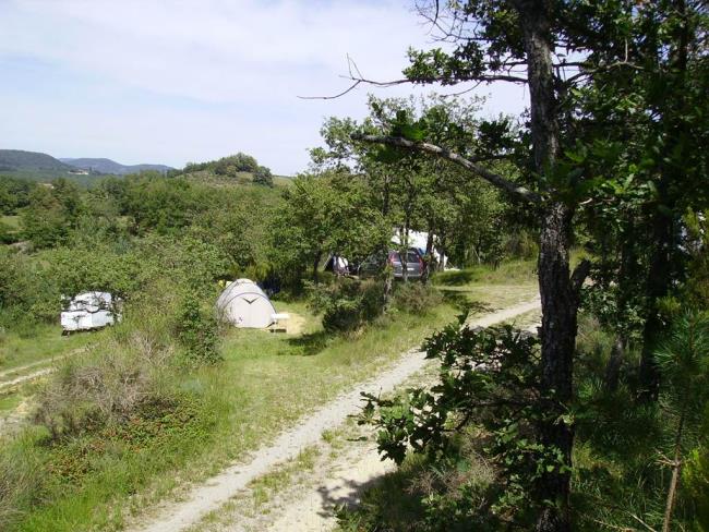 camping 3