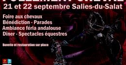 Affiche-Follement-Cheval-8-ed