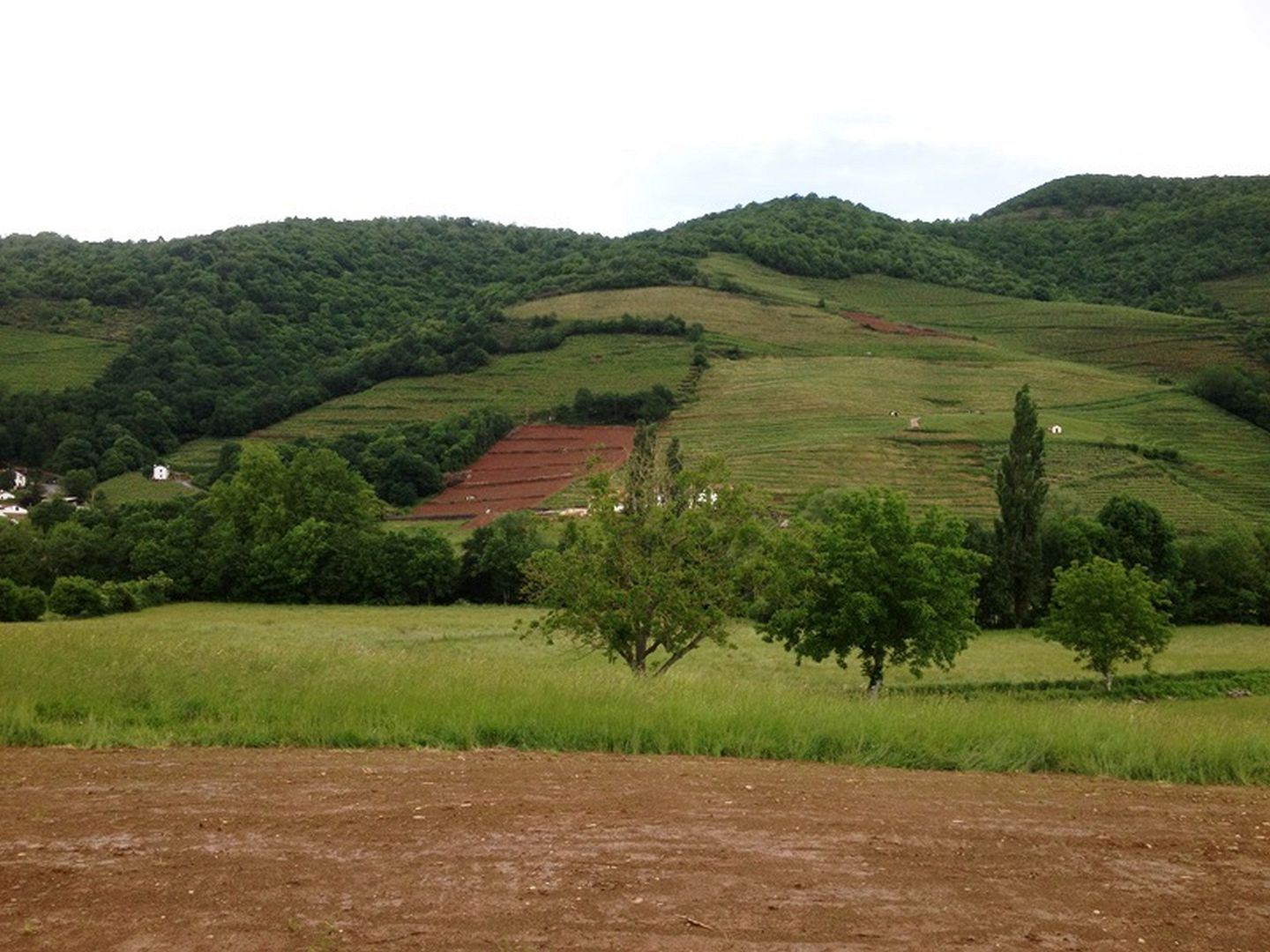 Domaine-Mourguy-vue 2-Ispoure 