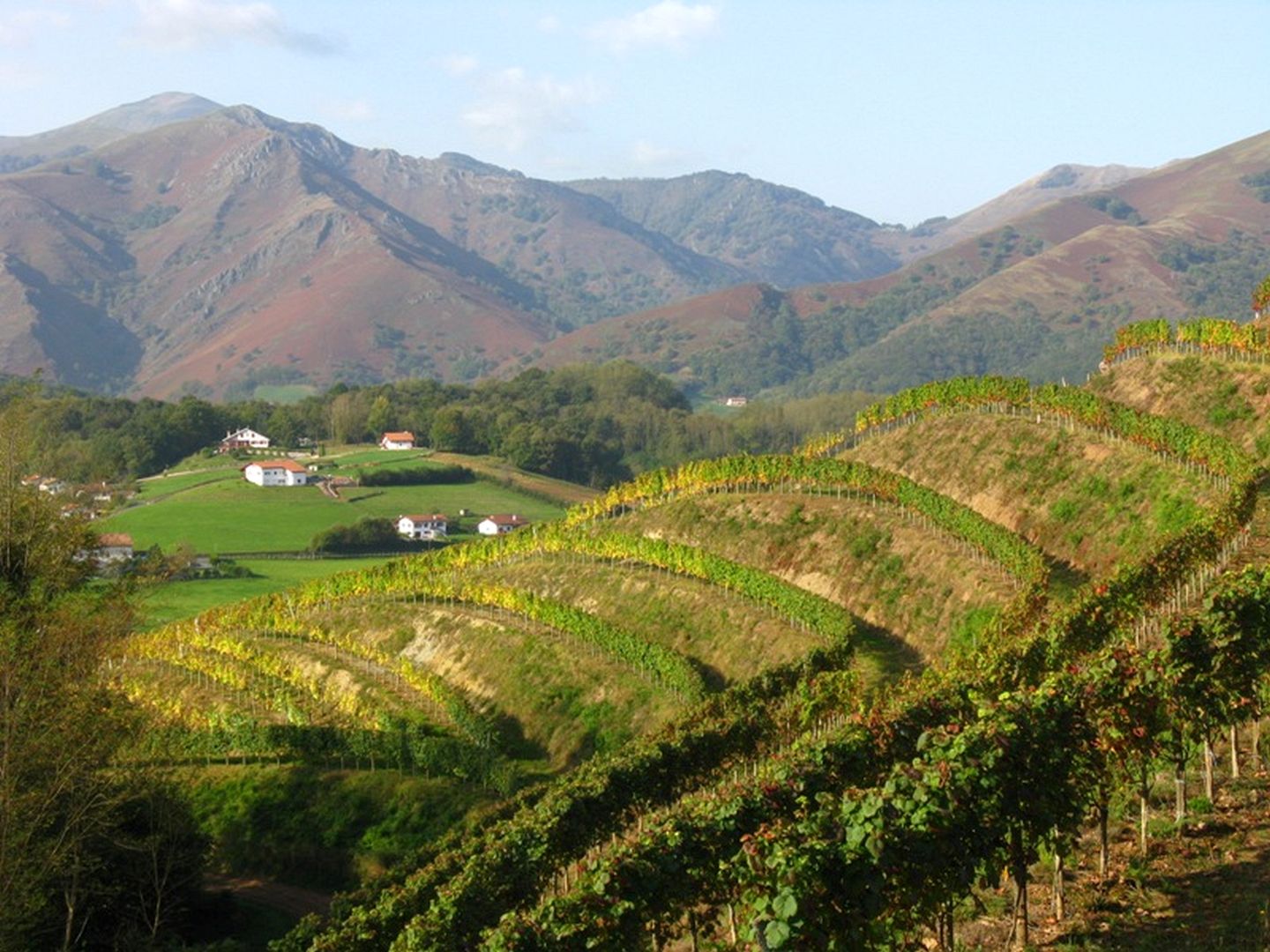 Madame Sandrine BIBES SAINTETIENNEDEBAIGORRY Les Pyrenées