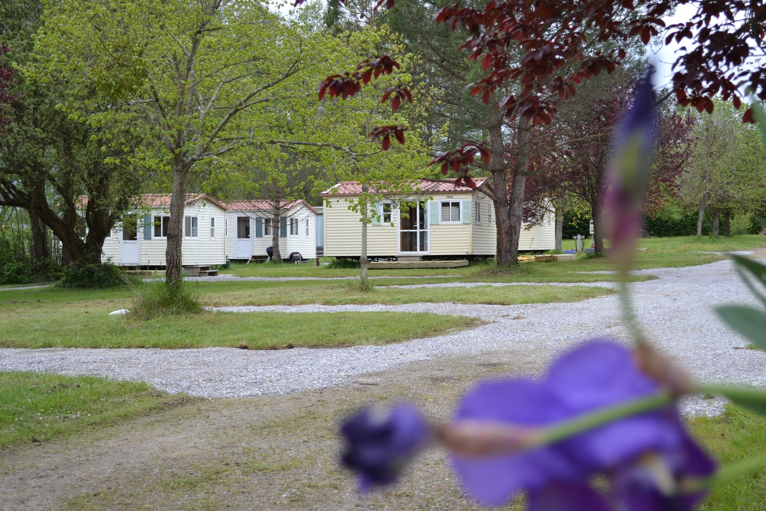 Camping Le Temps Des Bohèmes à Montréjeau