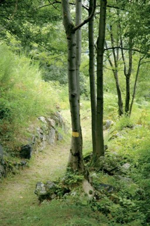 Lercoul LERCOUL Les Pyrenées