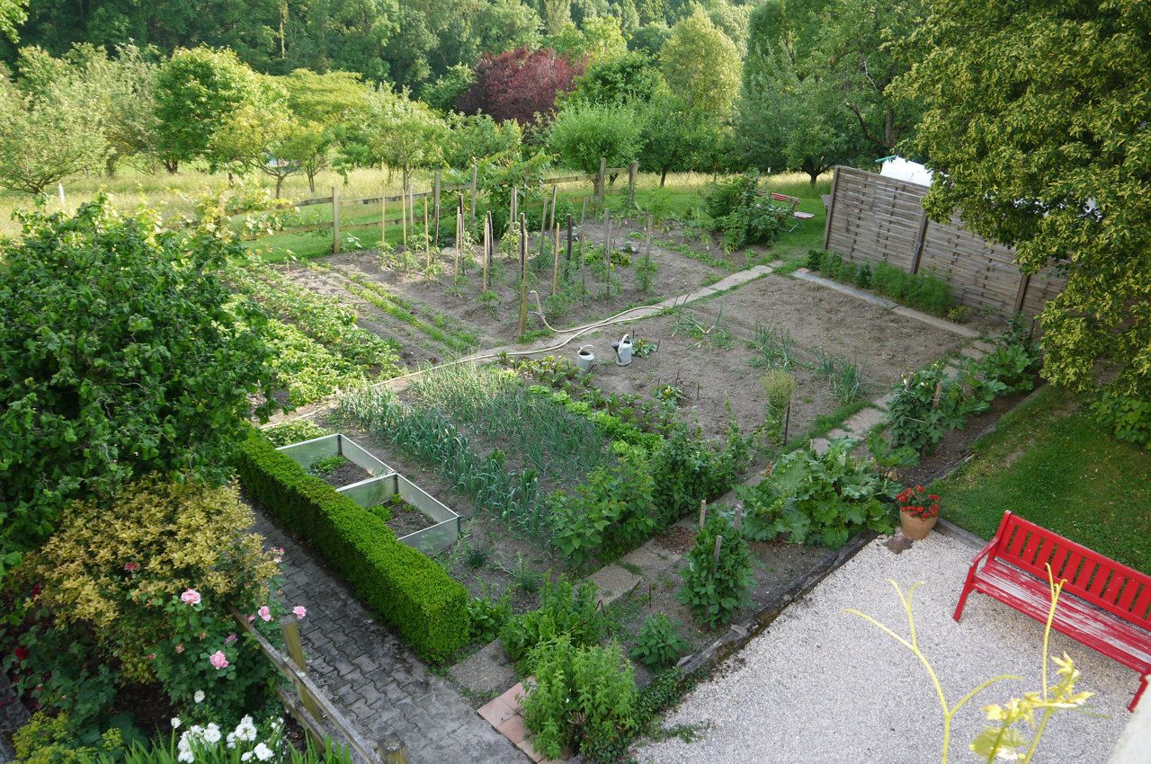 jardin potager 