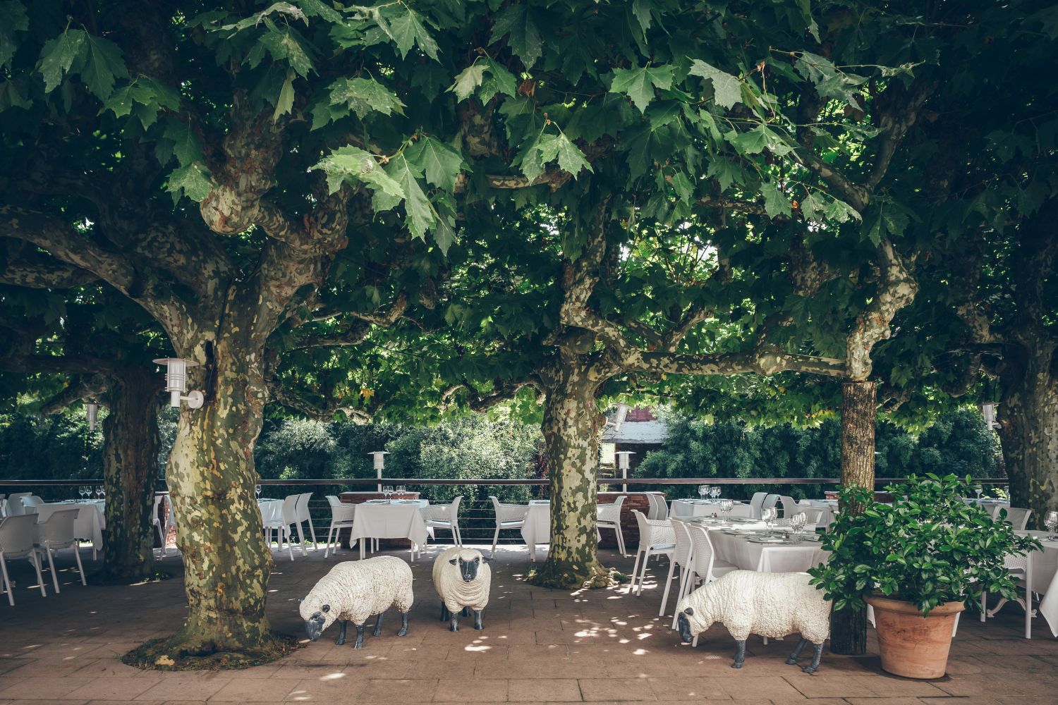 Restaurant Arcé SAINTETIENNEDEBAIGORRY Les Pyrenées